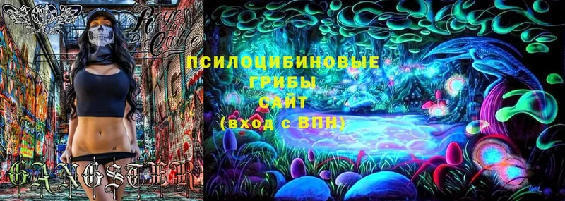 Галлюциногенные грибы Psilocybine cubensis  OMG ссылка  Москва 